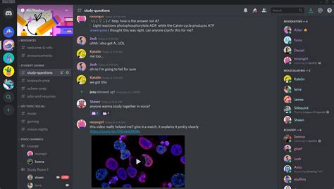 Whoisfresh discord  Press on the Download for Mac button